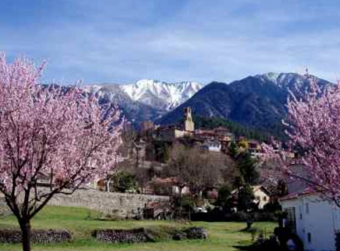 Village Arboretum, Vernet-les-Bains, France, France